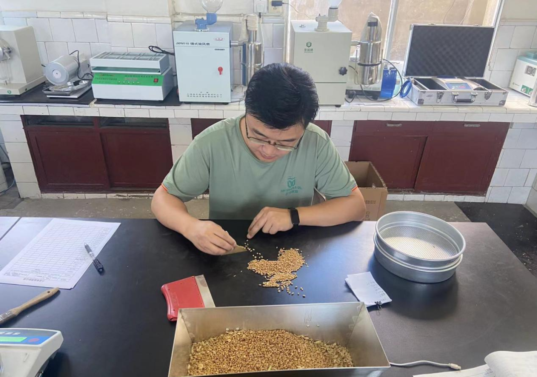 GA黄金甲·(中国集团)官方网站