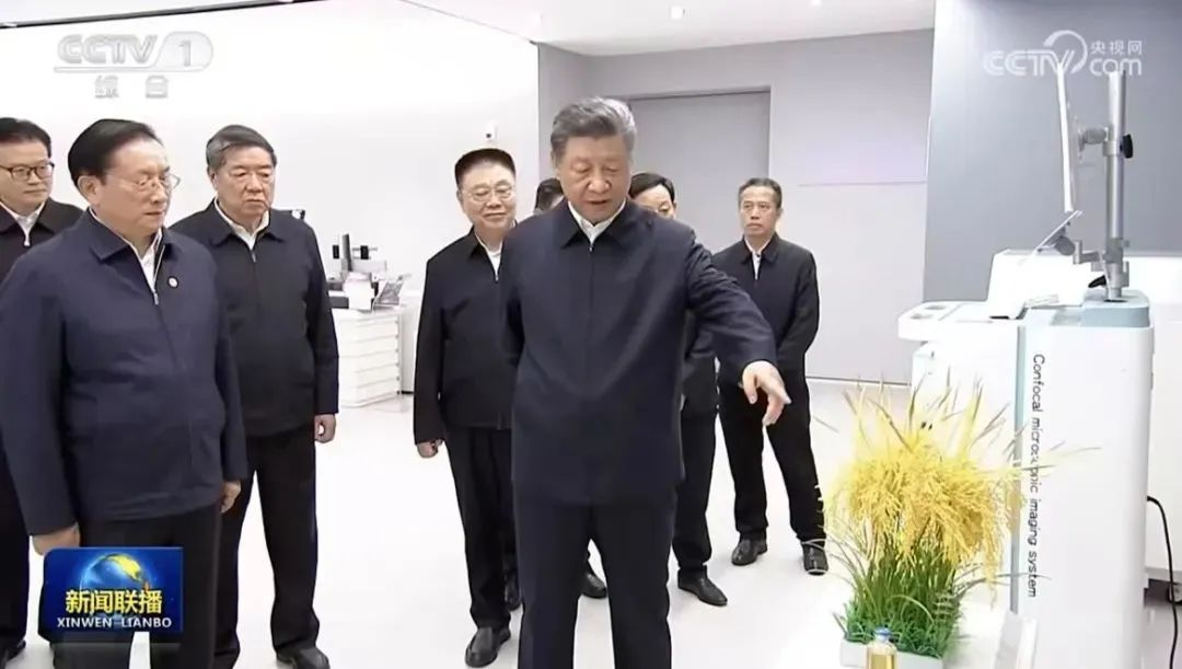 GA黄金甲·(中国集团)官方网站